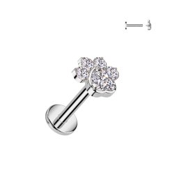 Piercing do ucha tlapka - TITAN